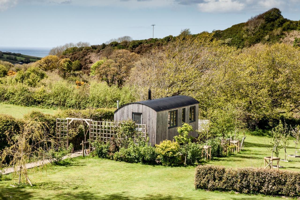 ジ オールド ビカレージ B&B Moylgrove エクステリア 写真